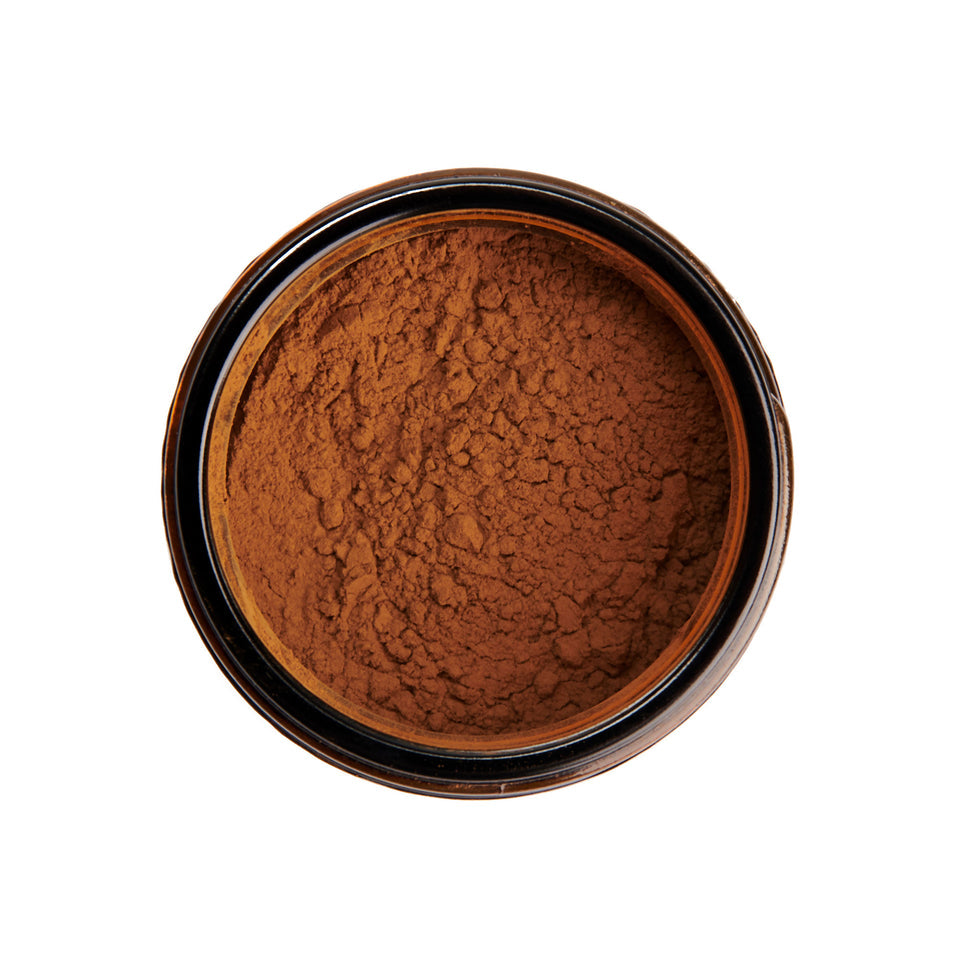 Lion's Mane Mushroom