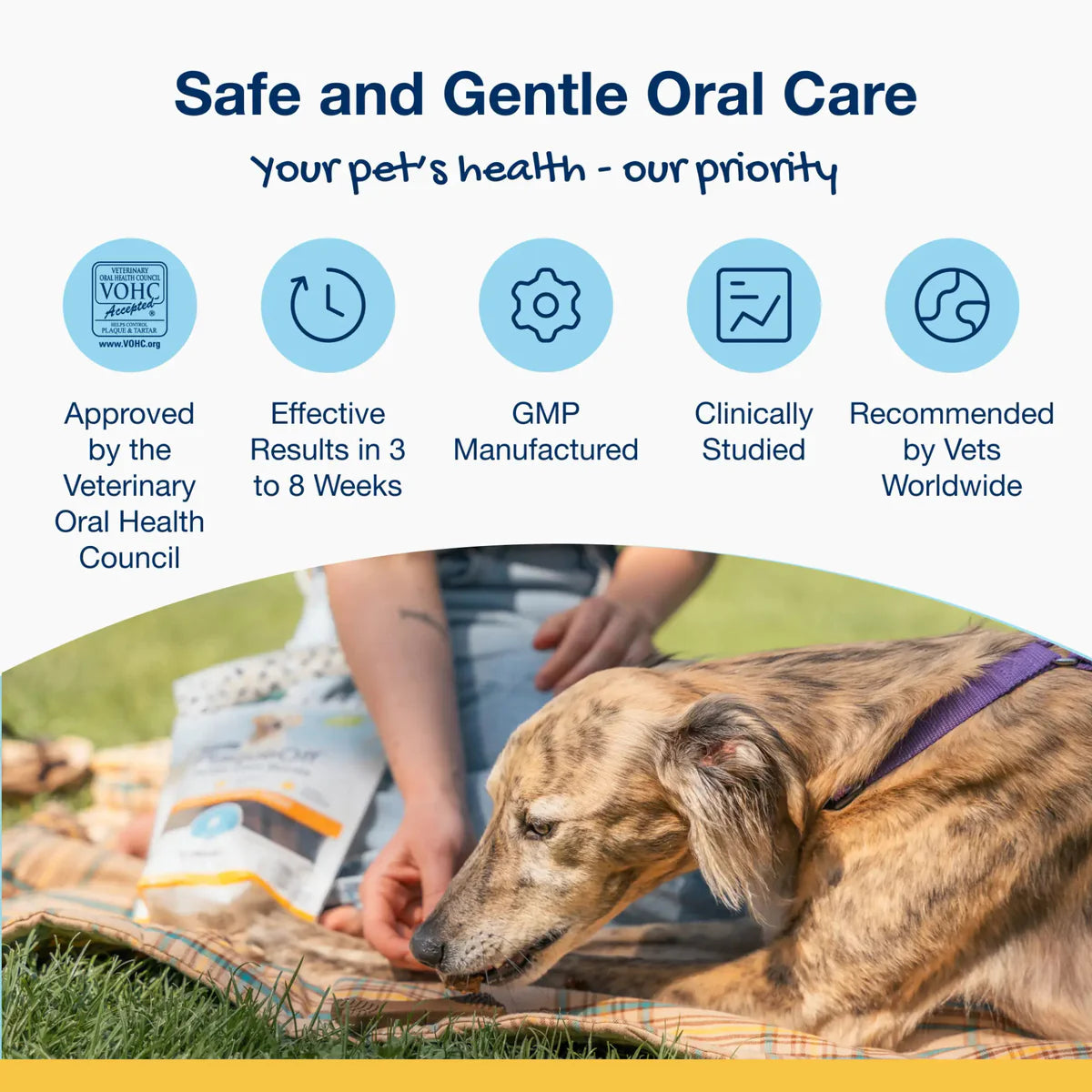 
                  
                    Plaque Off - Dental Care Bones - Mini - Peanut Butter and Banana
                  
                