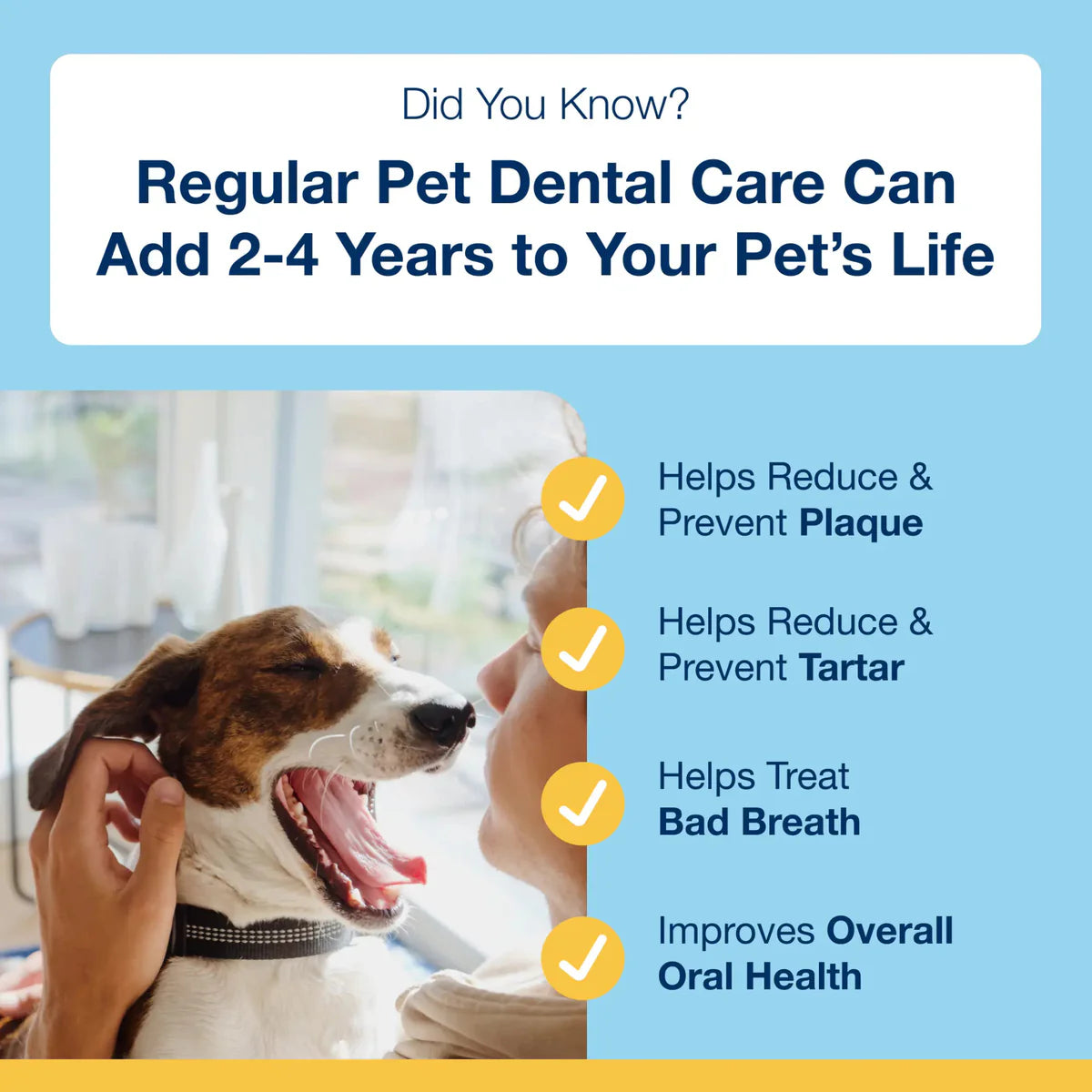 
                  
                    Plaque Off - Dental Care Bones - Mini - Peanut Butter and Banana
                  
                