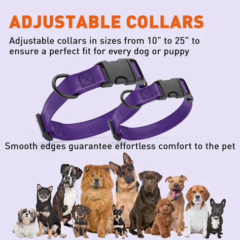 
                  
                    Dogline - Biothane Collar with Quick Release Buckle
                  
                