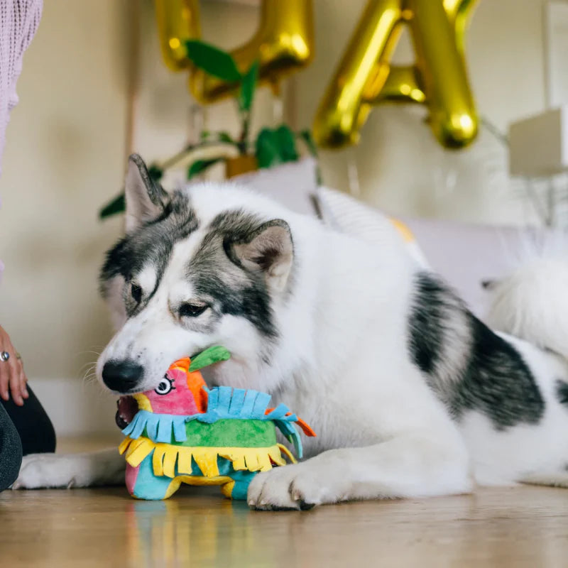 
                  
                    PLAY - Party Animal - Pinata
                  
                