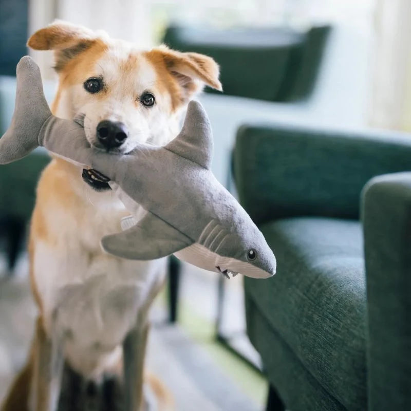 
                  
                    PLAY - Ocean Buddies - Great White Shark - Large
                  
                