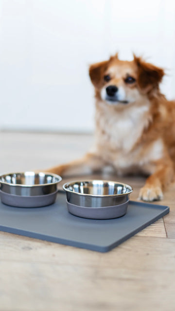 
                  
                    Messy Mutts - Silicone Bowl Mat With Raised Edge
                  
                