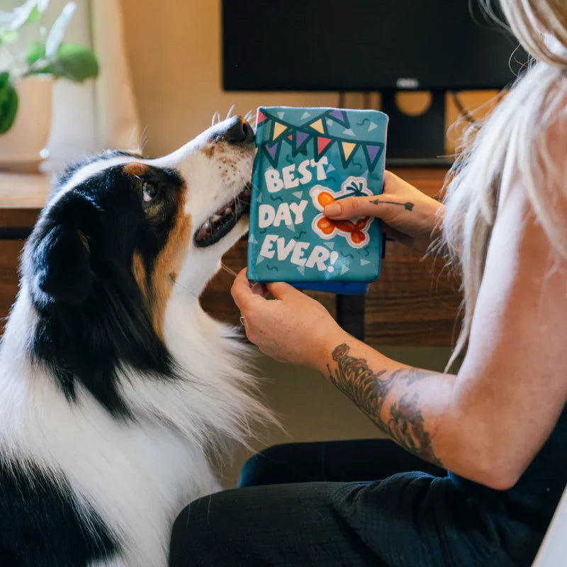 
                  
                    PLAY - Party Animal - Birthday Card
                  
                