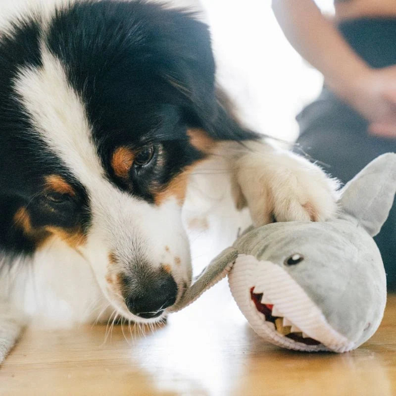 
                  
                    PLAY - Ocean Buddies - Great White Shark - Large
                  
                