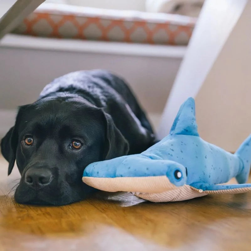 
                  
                    PLAY - Ocean Buddies - Hammerhead Shark - Large
                  
                