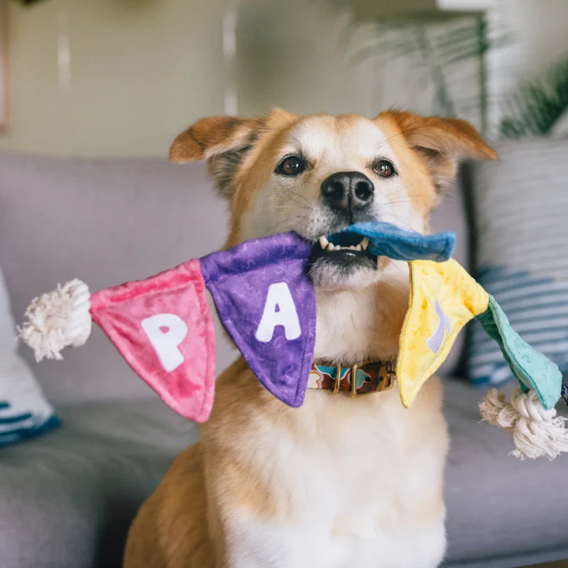 
                  
                    PLAY - Party Animal - Party Flags
                  
                