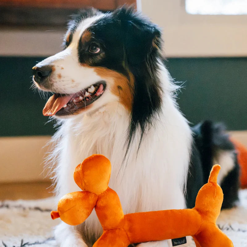 
                  
                    PLAY - Party Animal - Balloon Dog
                  
                