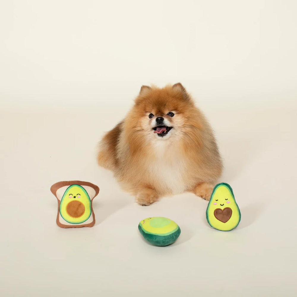 
                  
                    Avocado 3pc Small Dog Toy Set
                  
                