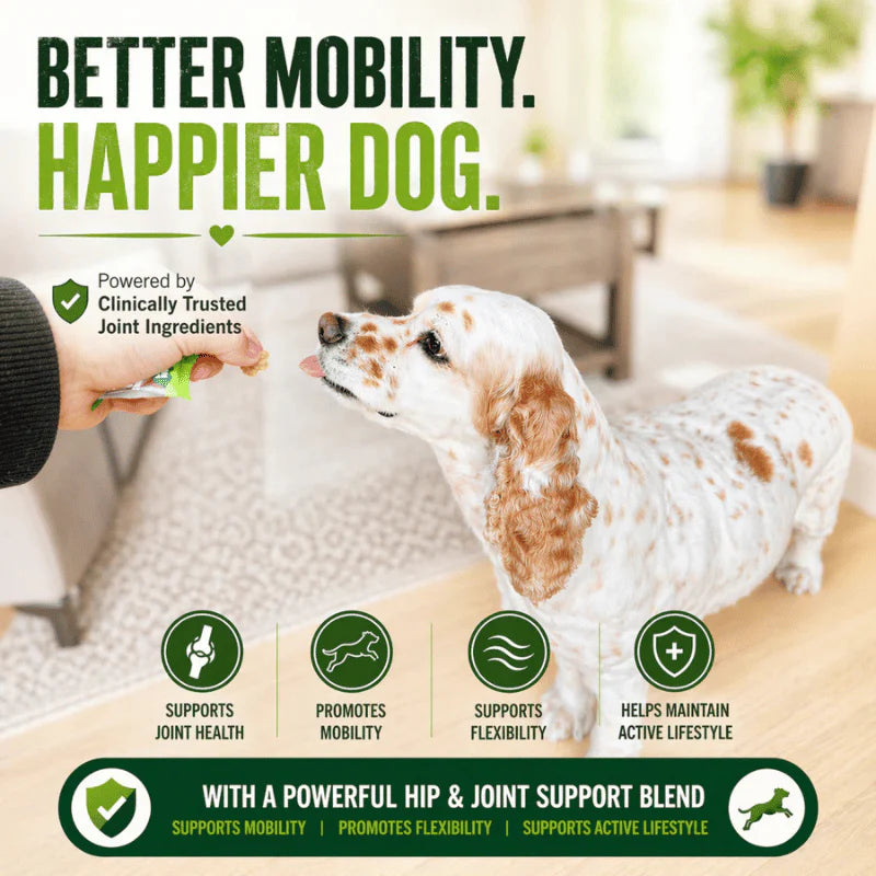 
                  
                    Fam-Pets - Hip & Joint - Soft Chews
                  
                