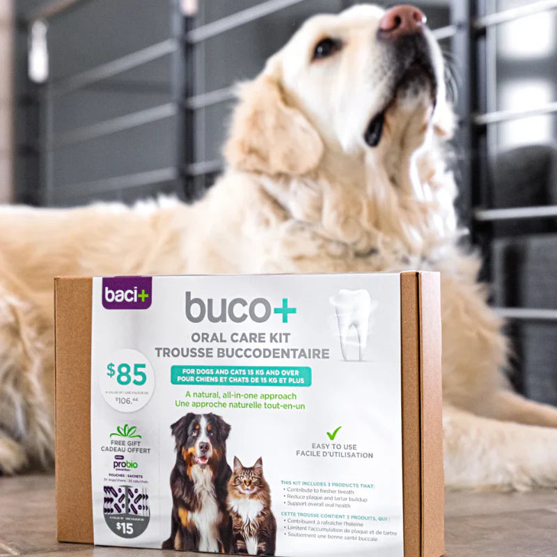 
                  
                    Baci+ - Buco+ - Oral Care Kit
                  
                