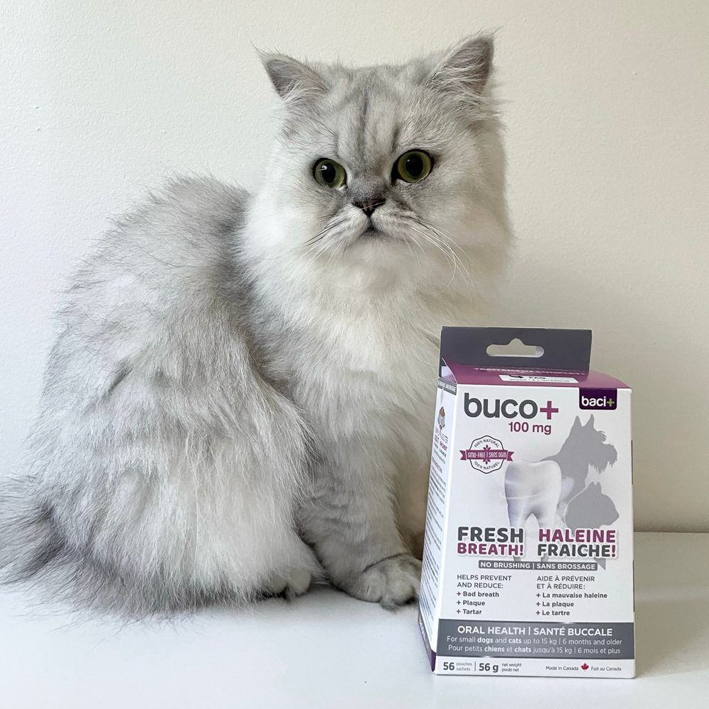 
                  
                    Baci+ - Buco+ 100mg (dental care for cats/small dogs)
                  
                