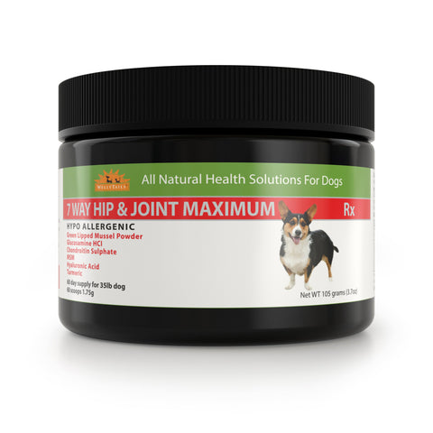 Welly Tails - 7 Way Hip & Joint Care