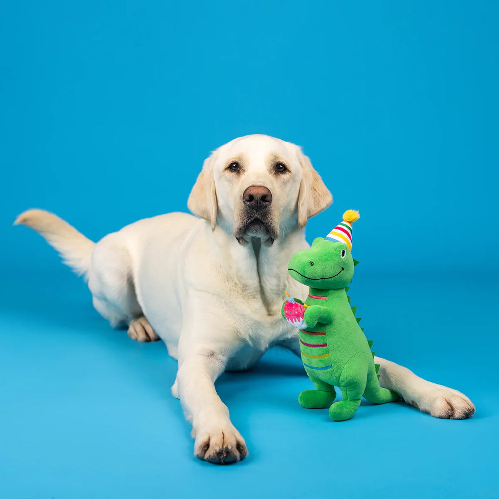 
                  
                    Fringe Studio - Dog - Toy - Birthday - Plush - Rex - “I’m How Old?”
                  
                