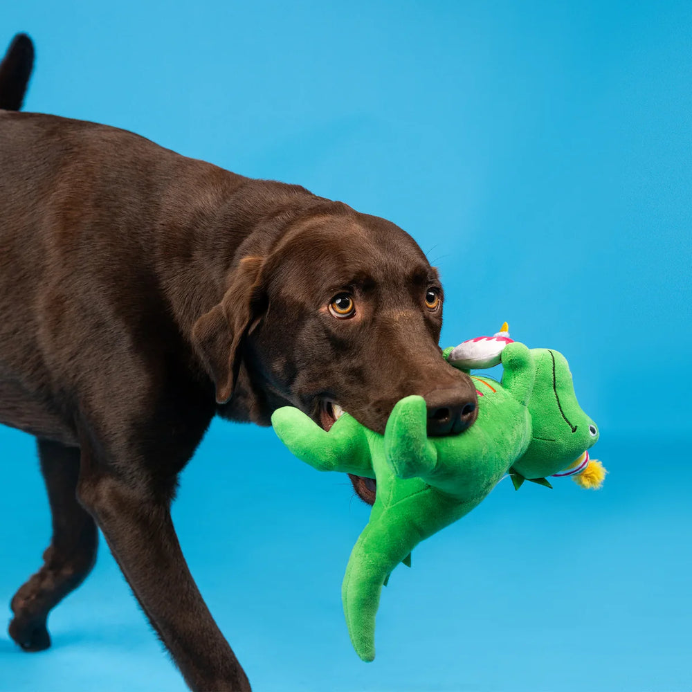 
                  
                    Fringe Studio - Dog - Toy - Birthday - Plush - Rex - “I’m How Old?”
                  
                