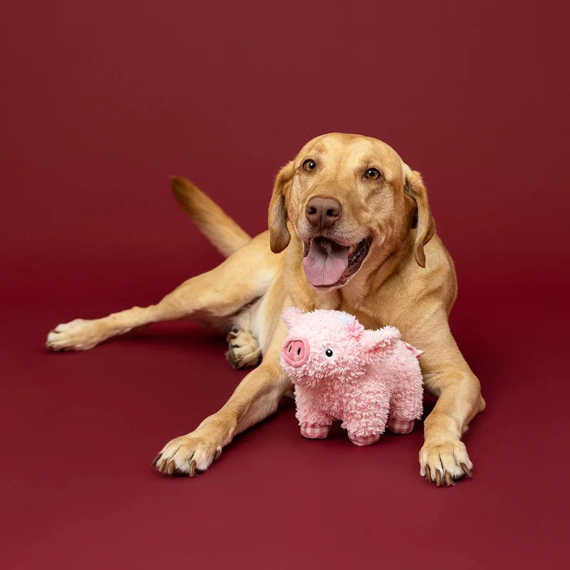 
                  
                    Fringe Studio - Dog - Toy - Plush - I Ham What I Ham
                  
                