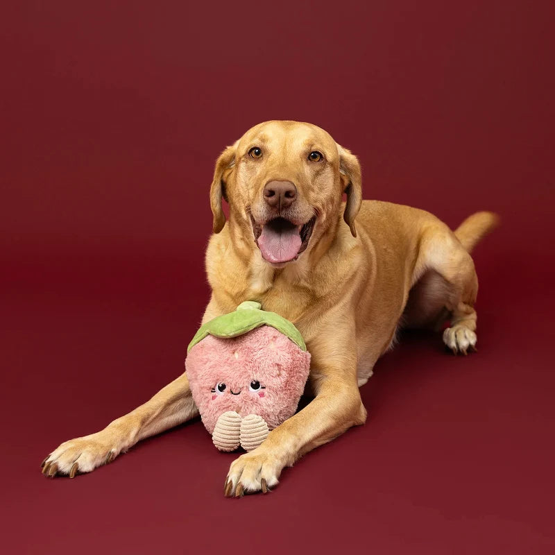 
                  
                    Fringe Studio - Dog - Toy - Plush - You're My Jam
                  
                