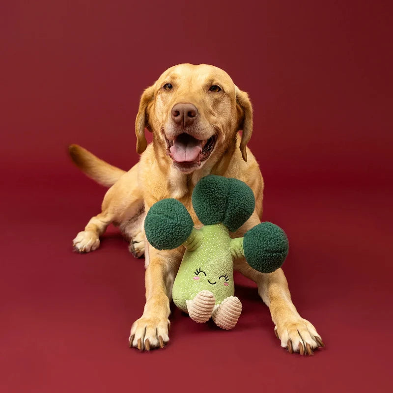
                  
                    Fringe Studio - Dog - Toy - Plush - Brocc Star
                  
                