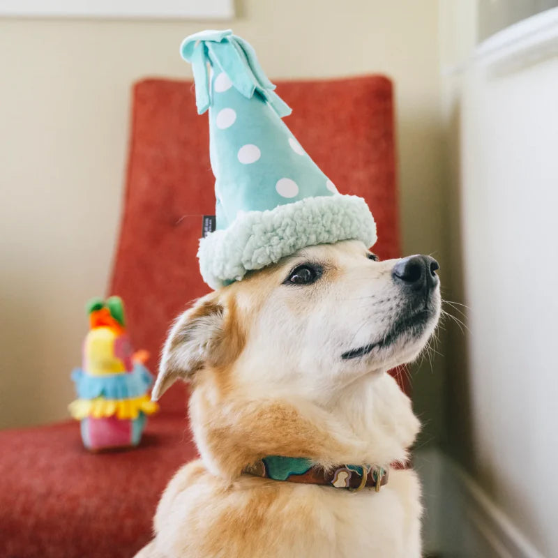 
                  
                    PLAY - Party Animal - Party Hat
                  
                