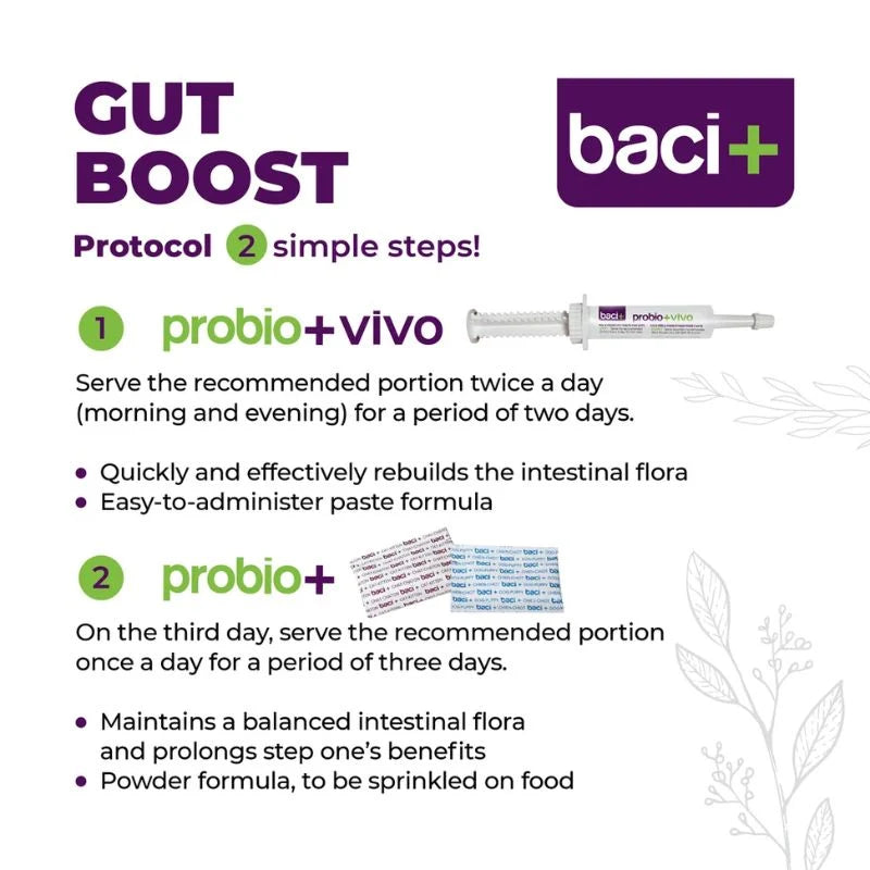 
                  
                    Baci+ -Probio+ - Intestinal Gut Boost - Cat - 27g
                  
                