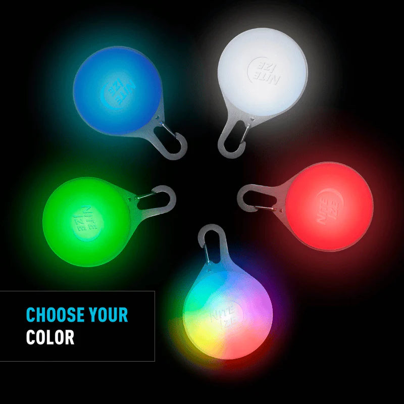 
                  
                    NITE IZE - Spotlit Splash - Rechargeable Collar Light Disc-O-Tech - Waterproof
                  
                