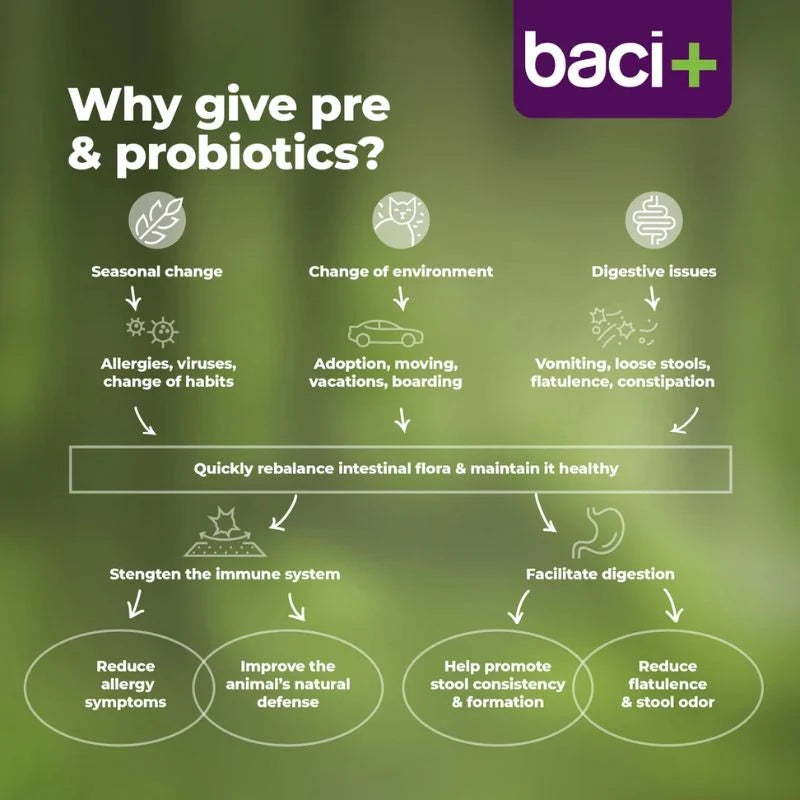 
                  
                    Baci+ -Probio+ - Intestinal Gut Boost - Cat - 27g
                  
                