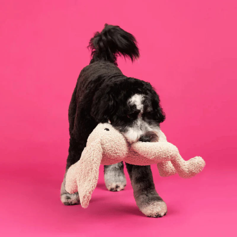 
                  
                    Fringe Studio - Dog - Toy - Plush - Large Dog - Hoppy To See You
                  
                