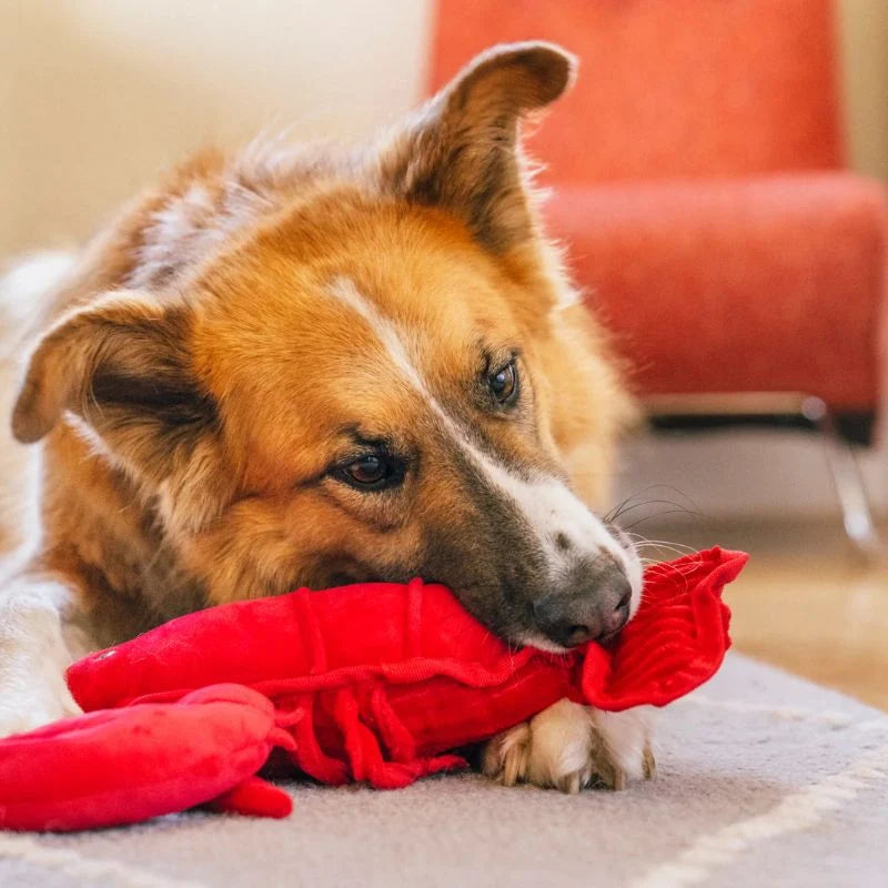 
                  
                    PLAY - Ocean Buddies - Lobster - Large
                  
                