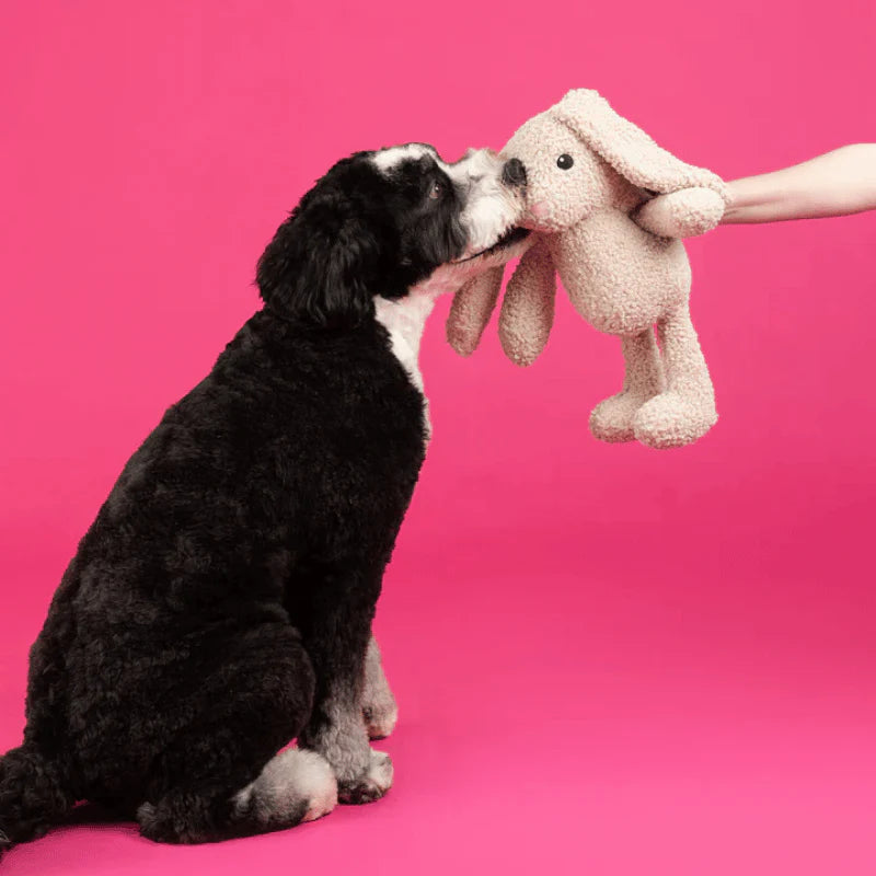 
                  
                    Fringe Studio - Dog - Toy - Plush - Large Dog - Hoppy To See You
                  
                