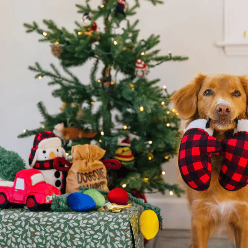 
                  
                    PLAY - Home For The Holidays - Paw Warmers
                  
                
