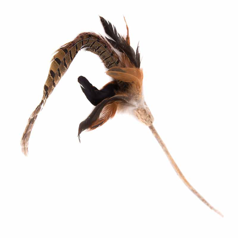 Natural Cat Toys - Long Silver Vine Pheasant Feathers Teaser (40cm)