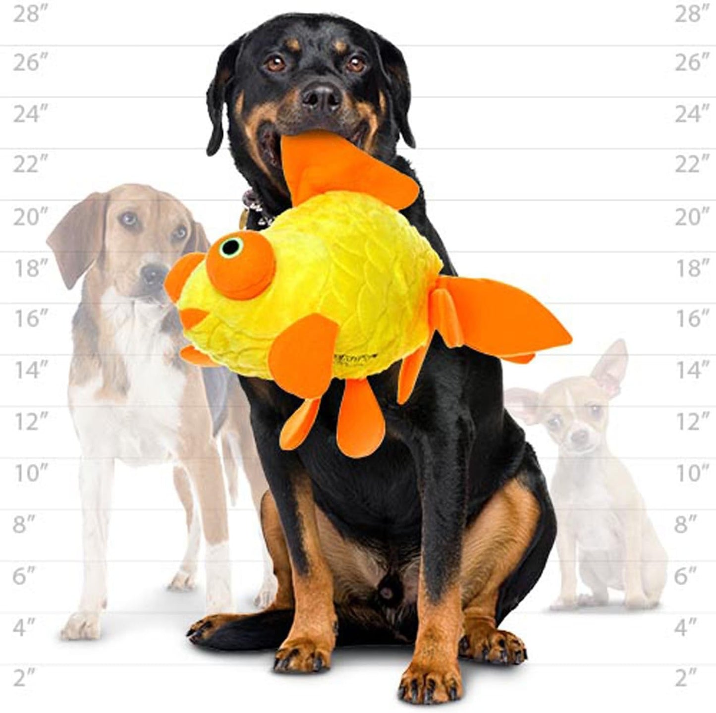 
                  
                    Tuffy Toys - Mighty Ocean Goldfish
                  
                