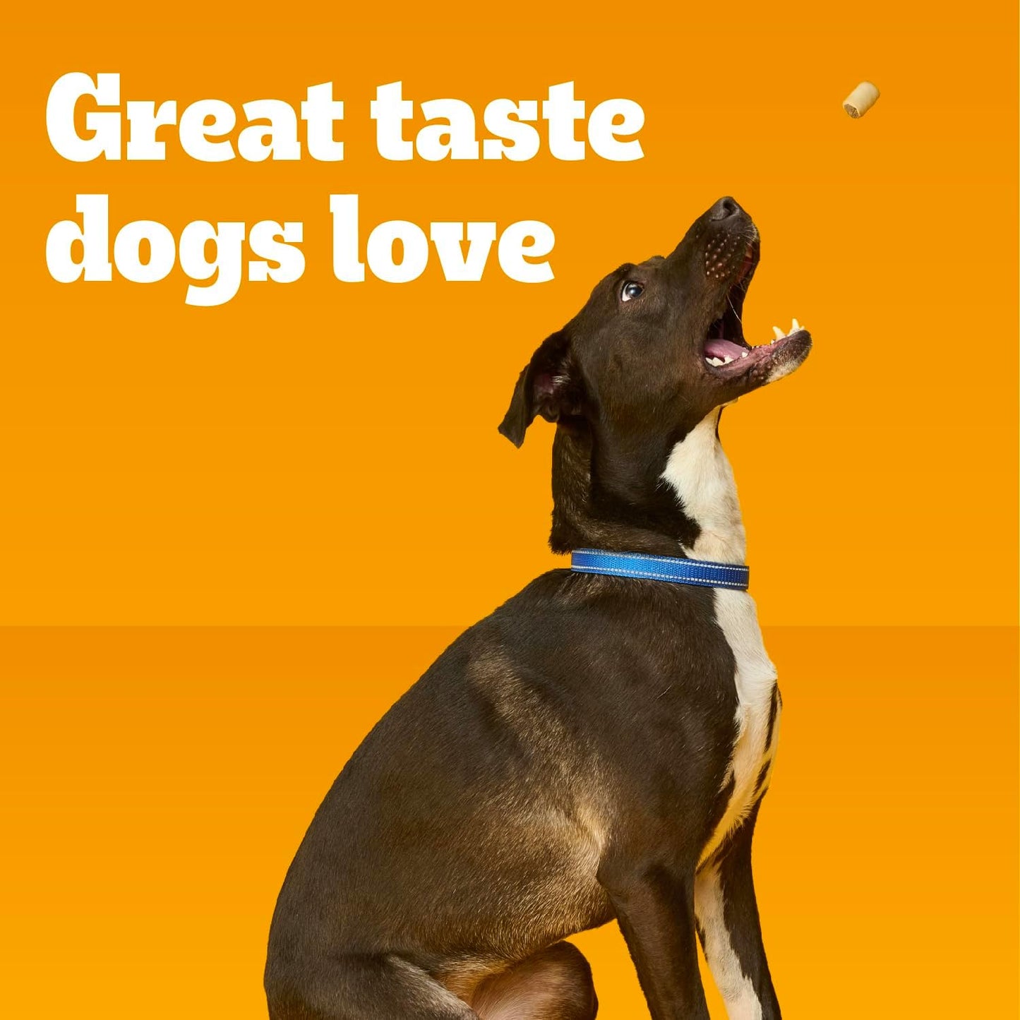 
                  
                    Pedigree - MarroBone 1.9kg
                  
                