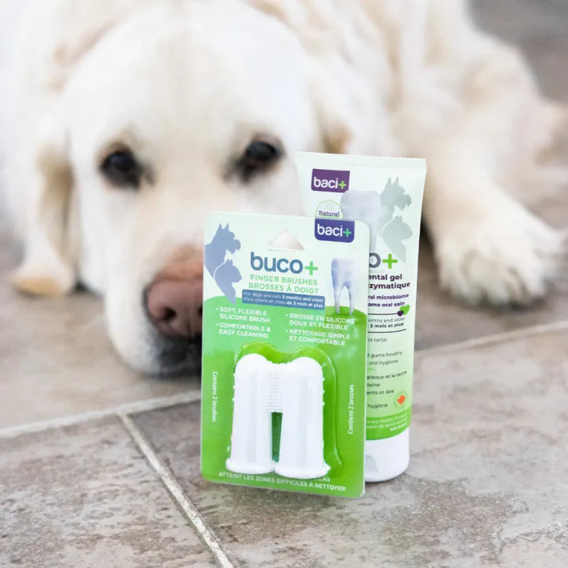 
                  
                    Baci+ - Buco+ - Finger Brush
                  
                