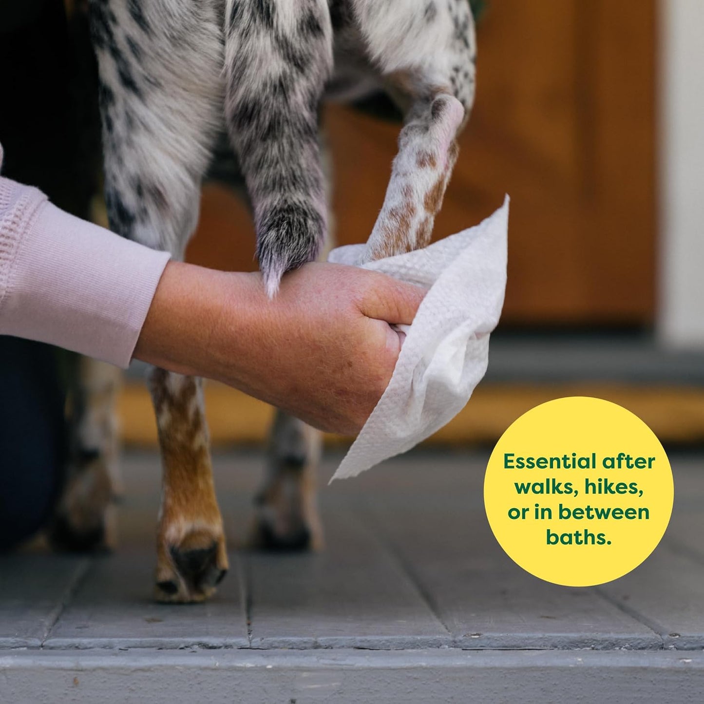 
                  
                    earth rated - Compostable Pet Wipes Unscented 8x8" 100PK
                  
                