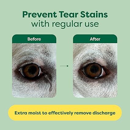 
                  
                    earth rated - Eye Wipes 5x5 inches 60PK
                  
                
