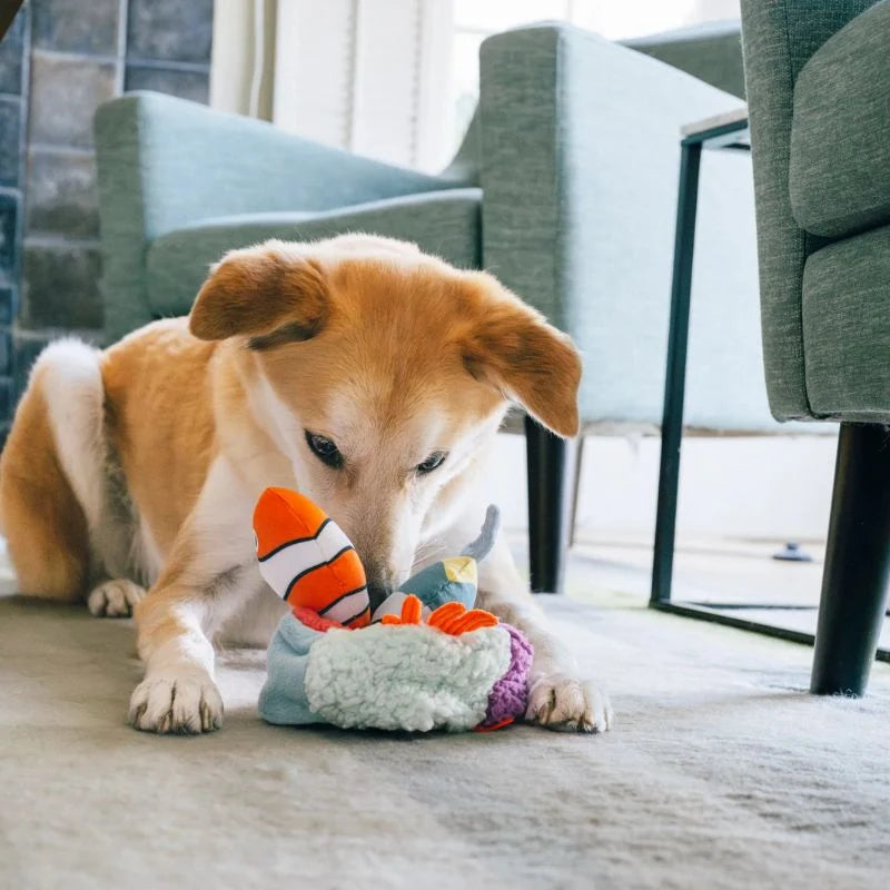 
                  
                    PLAY - Ocean Buddies - Coral Burrow
                  
                