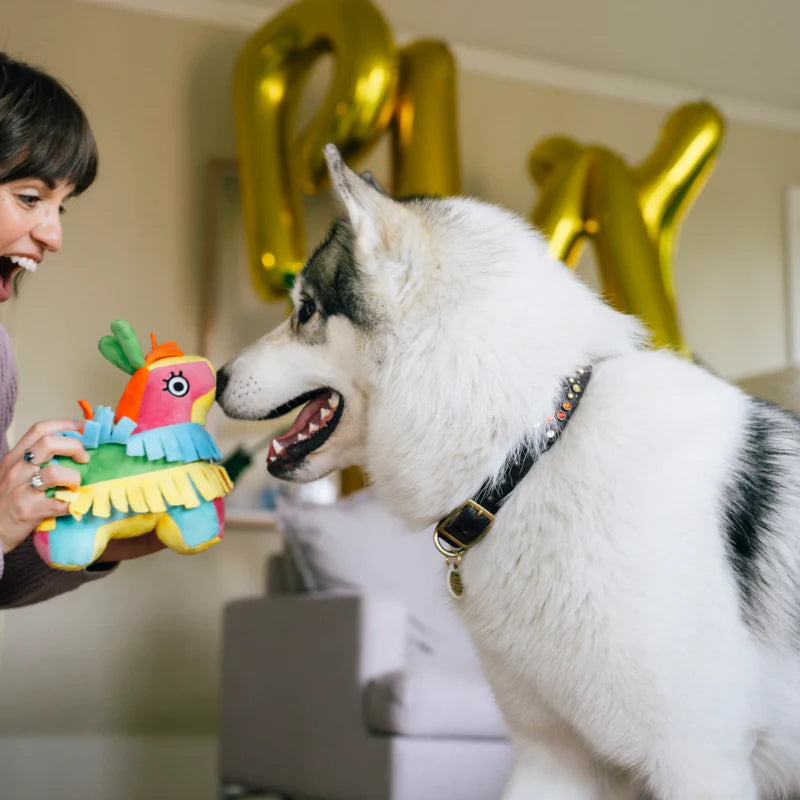 
                  
                    PLAY - Party Animal - Pinata
                  
                
