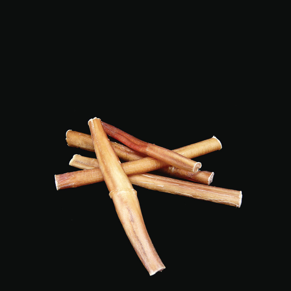 
                  
                    maplepaw LAB, 6" Bully Stick Low Odour Chewing Sticks 5 pc
                  
                