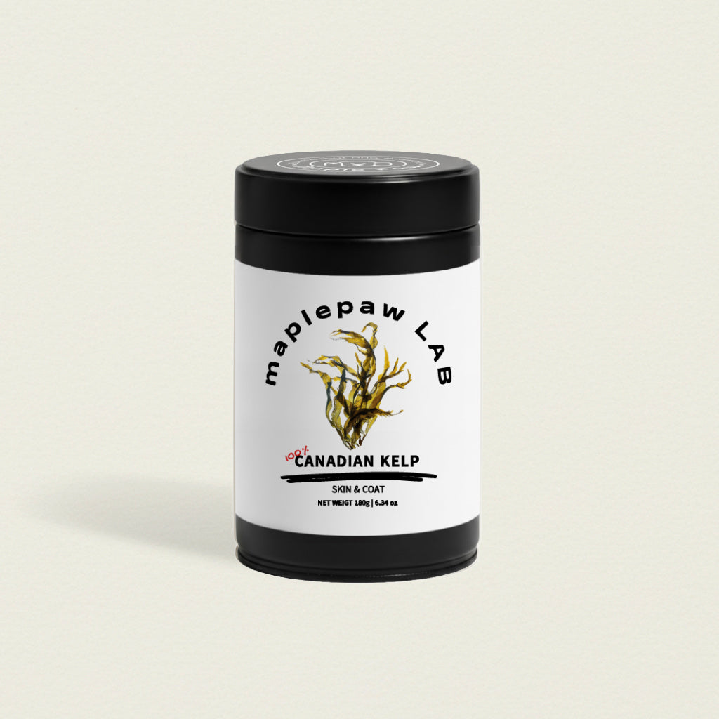 
                  
                    maplepaw LAB, Atlantic Canadian Kelp, Skin & Coat Support, Dental Support
                  
                
