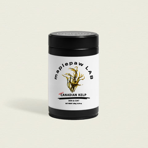 maplepaw LAB, Atlantic Canadian Kelp, Skin & Coat Support, Dental Support