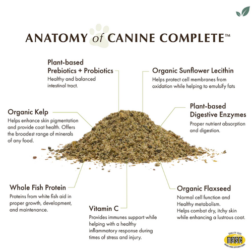 
                  
                    Wholistic Pet Organics - Organic Pumpkin Canine Complete
                  
                