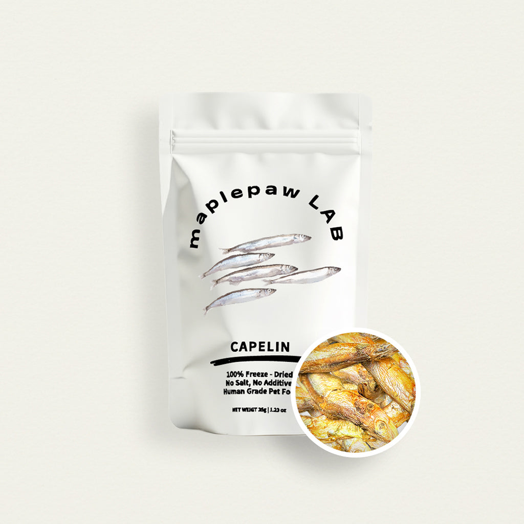 Caplein maplepaw LAB, Freeze-Dried Capelin