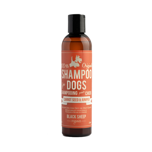 Black Sheep Organics - Carrot Seed & Juniper Organic Shampoo