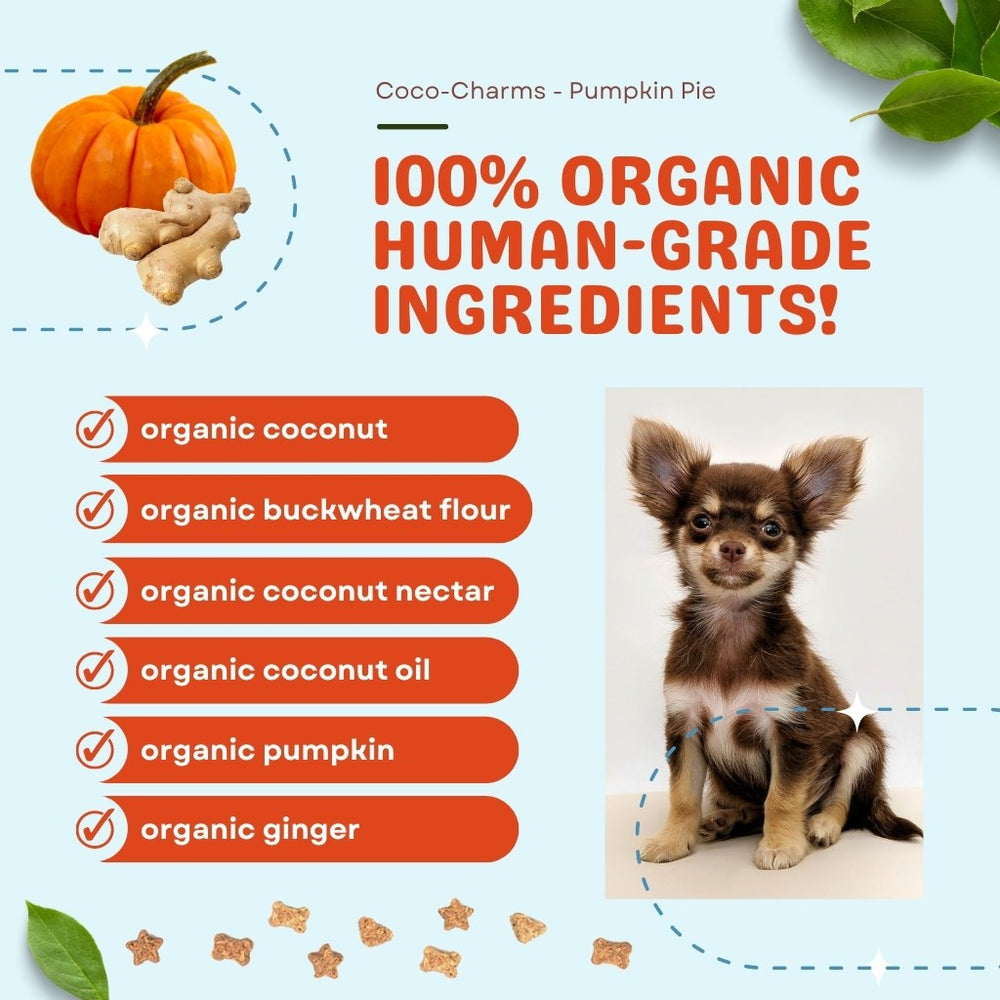 
                  
                    coco therapy - Coco-Charms Training Treats – Pumpkin Pie, 5 oz
                  
                