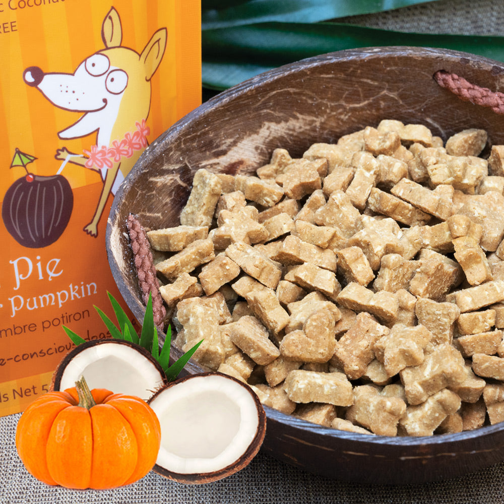 
                  
                    coco therapy - Coco-Charms Training Treats – Pumpkin Pie, 5 oz
                  
                