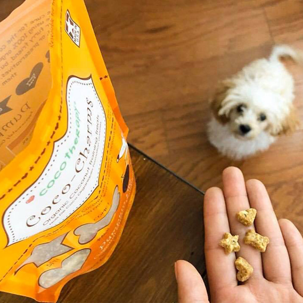 
                  
                    coco therapy - Coco-Charms Training Treats – Pumpkin Pie, 5 oz
                  
                