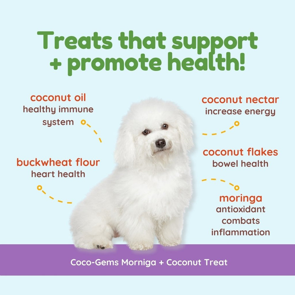 
                  
                    coco therapy - Coco-Gems - Moringa + Coconut, 5 oz
                  
                