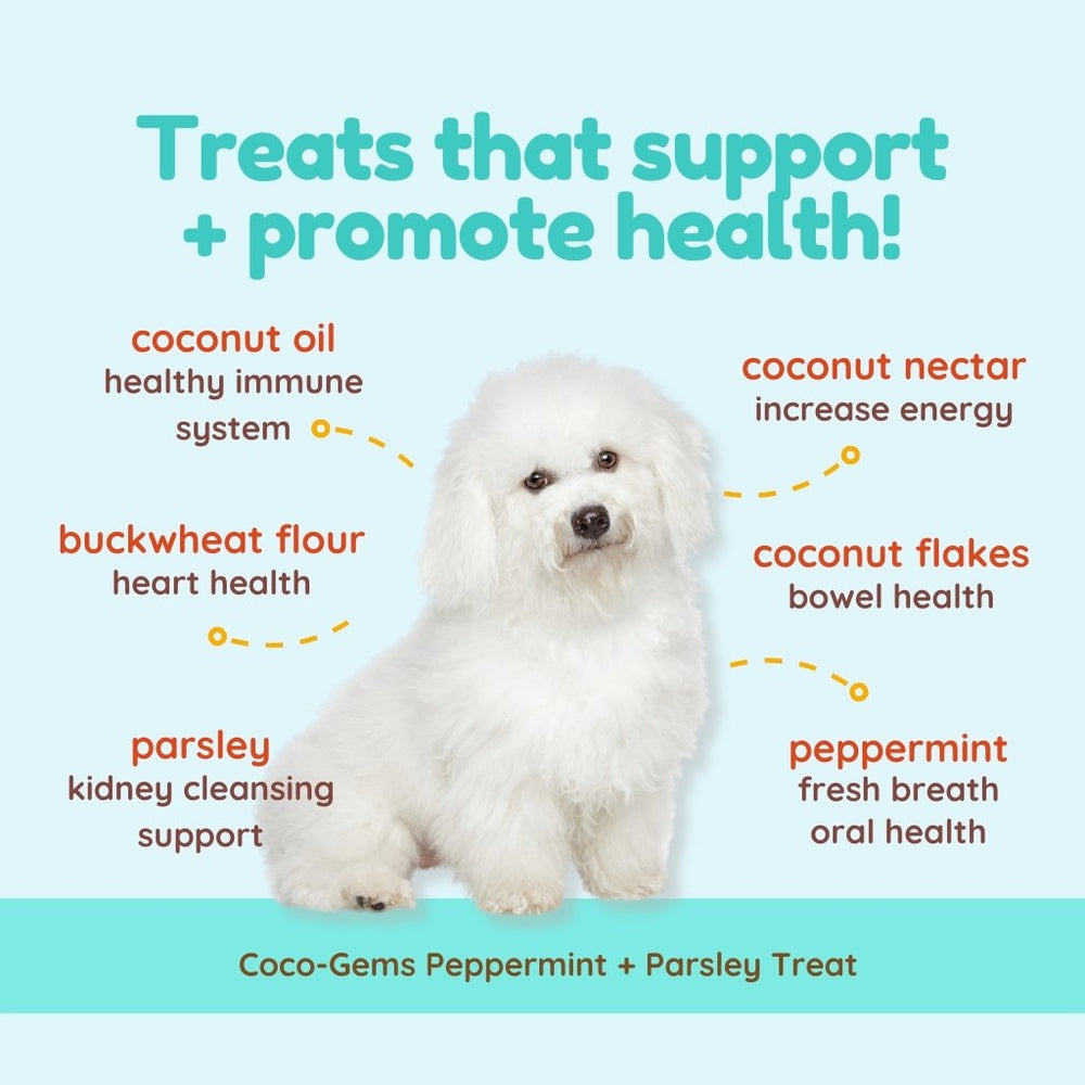 
                  
                    coco therapy - Coco-Gems - Peppermint + Parsley + Coconut, 5 oz
                  
                