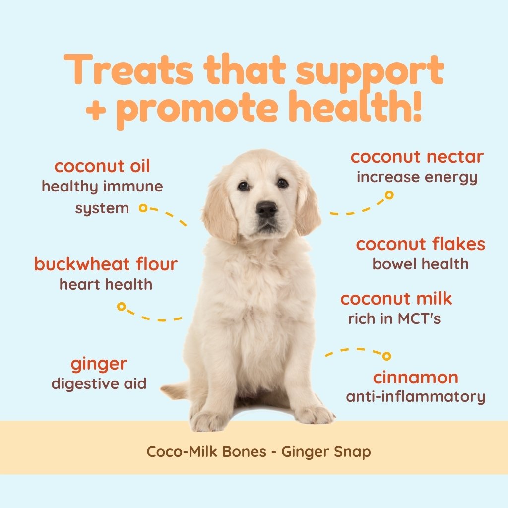 
                  
                    coco therapy - Coco-Milk Bones - Ginger Snaps, 6 oz
                  
                